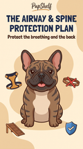 The Airway & Spine Protection Plan