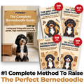 The Complete Bernedoodle Guide