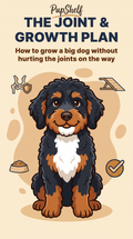 The Growth Plan (Bernedoodle)