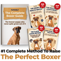 The Complete Boxer Guide