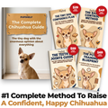 The Complete Chihuahua Guide