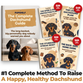 The Complete Dachshund Guide