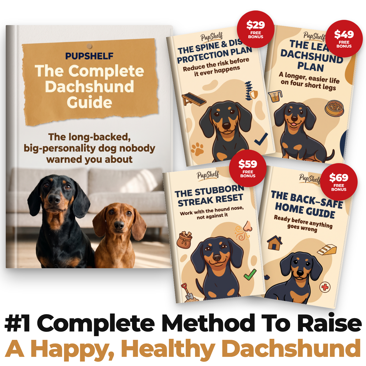 The Complete Dachshund Guide