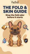 The Fold & Skin Guide