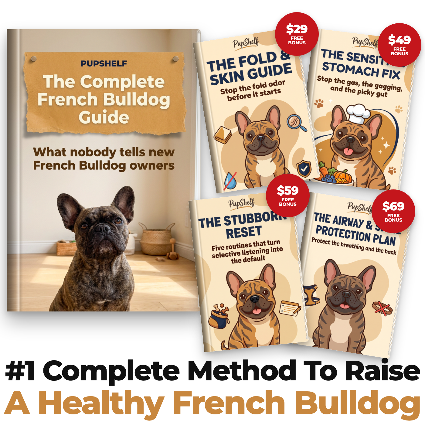 The Complete French Bulldog Guide