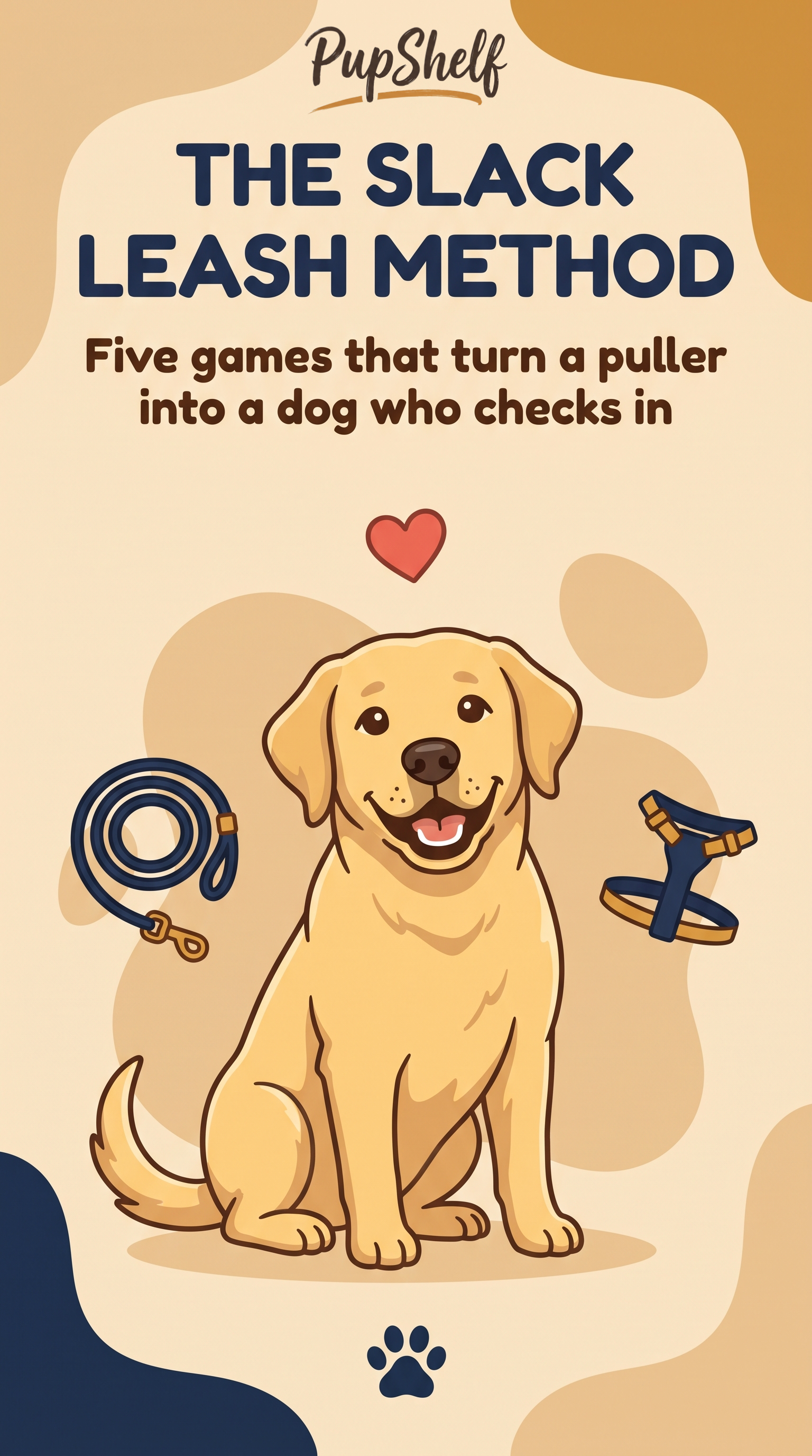 The Slack Leash Method (Labrador)