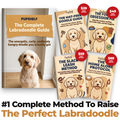 The Complete Labradoodle Guide