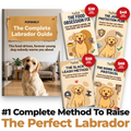 The Complete Labrador Guide
