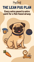 The Lean Pug Plan